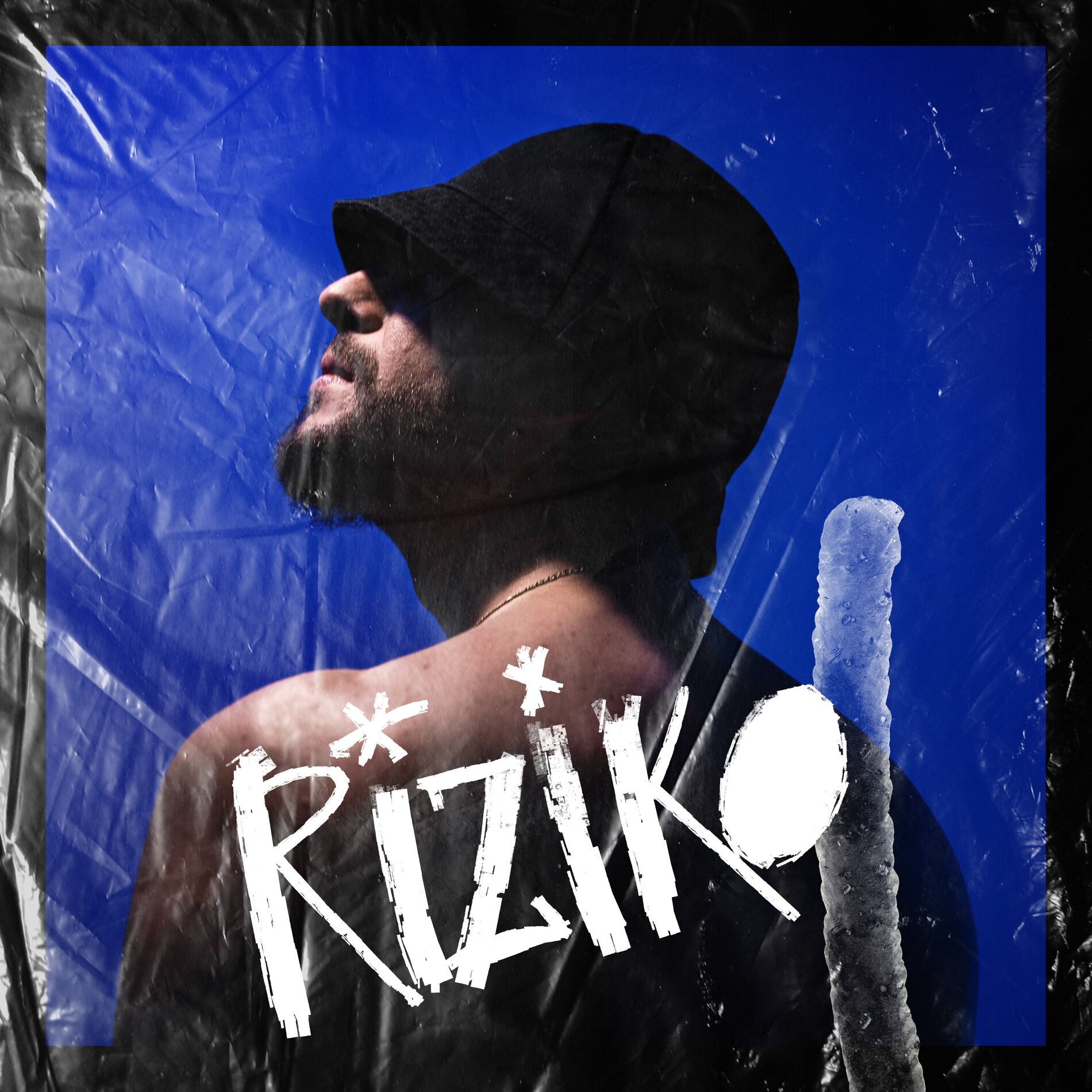 Album cover of Dilsiz
