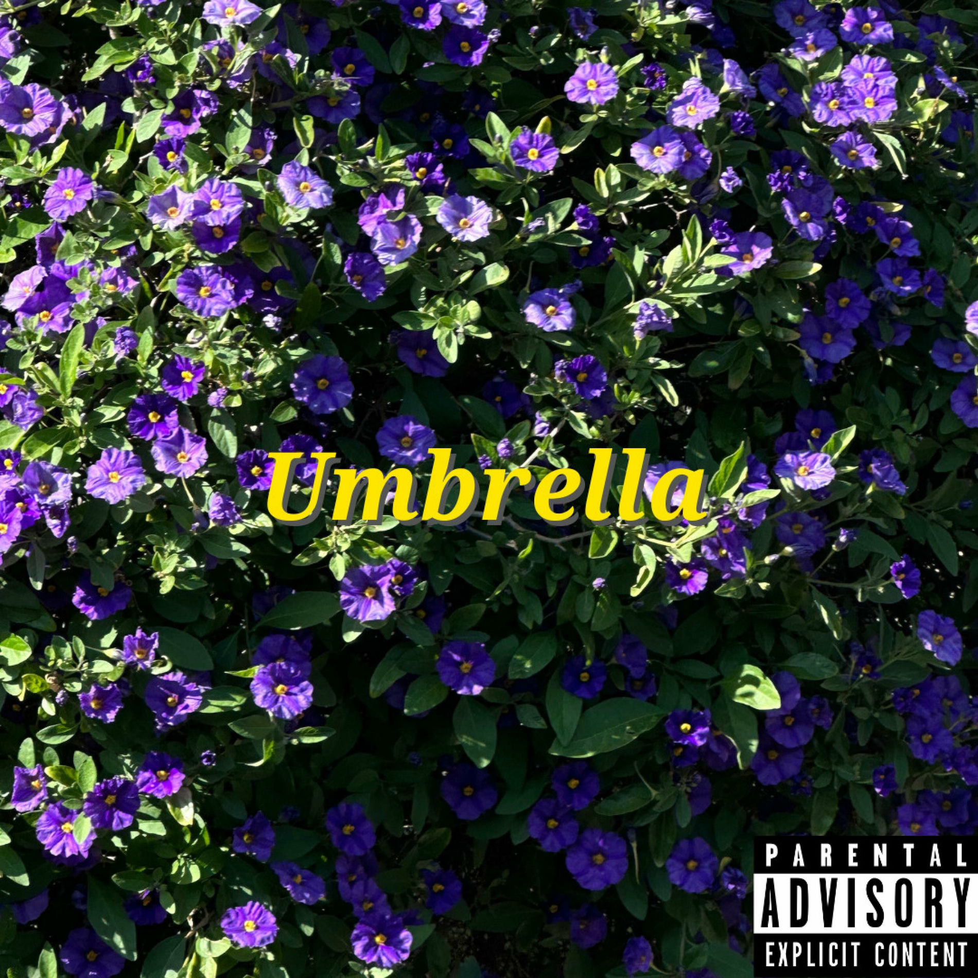 Album cover of umbrella