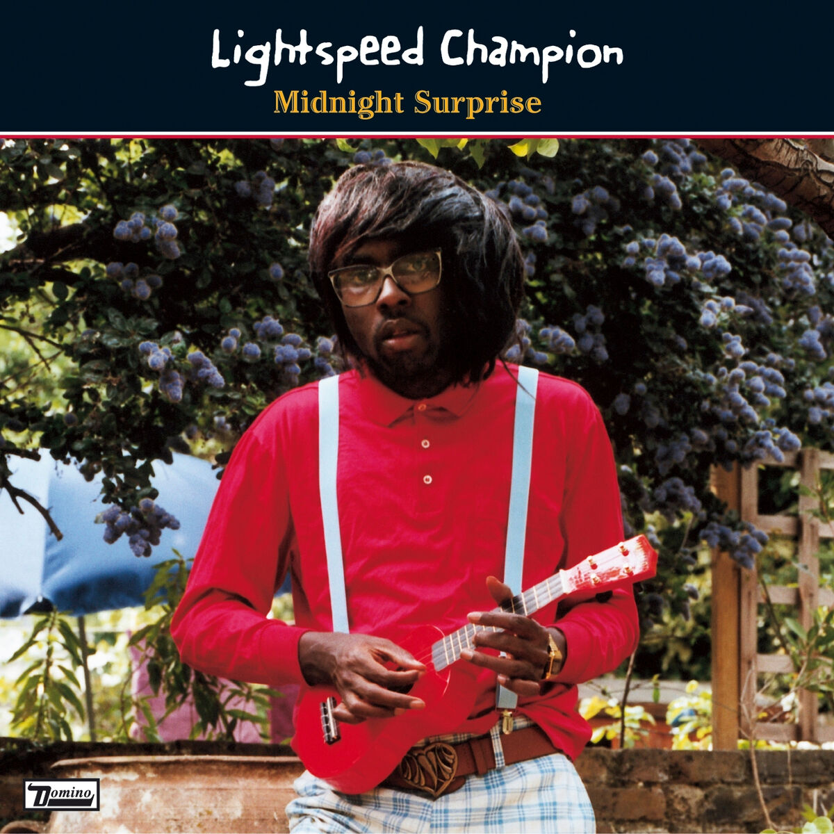 Album cover of Midnight Surprise