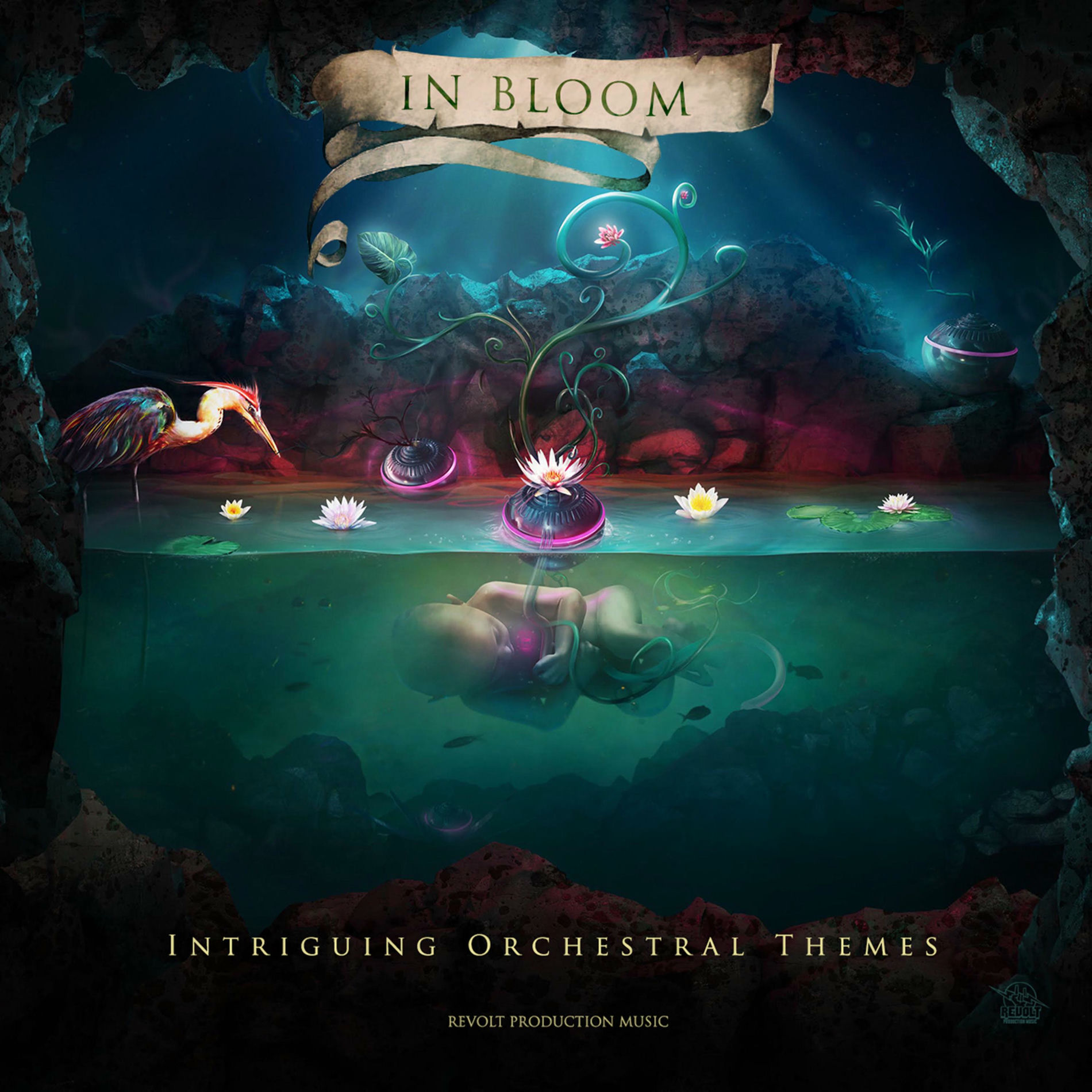 Album cover of In Bloom