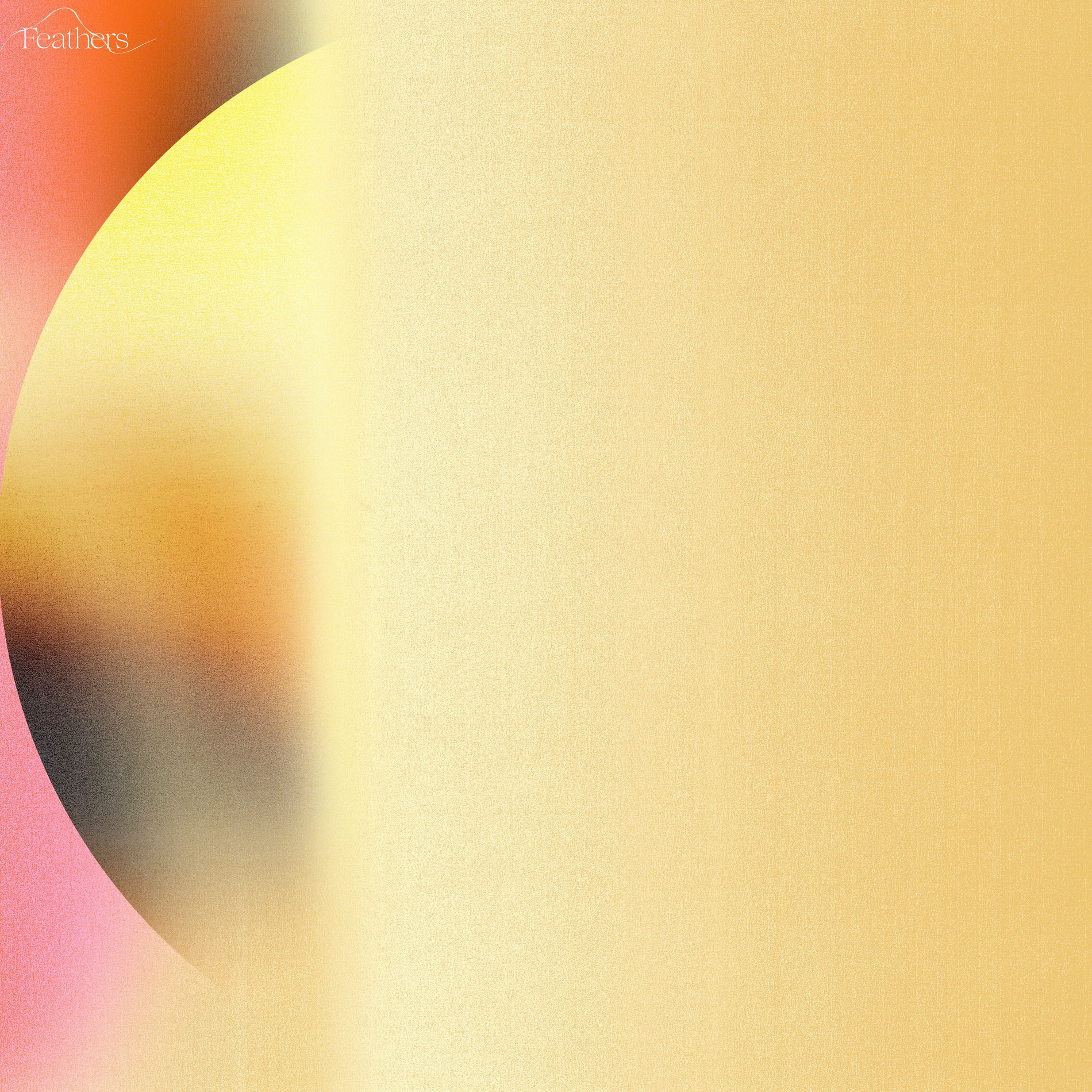 Album cover of Feathers