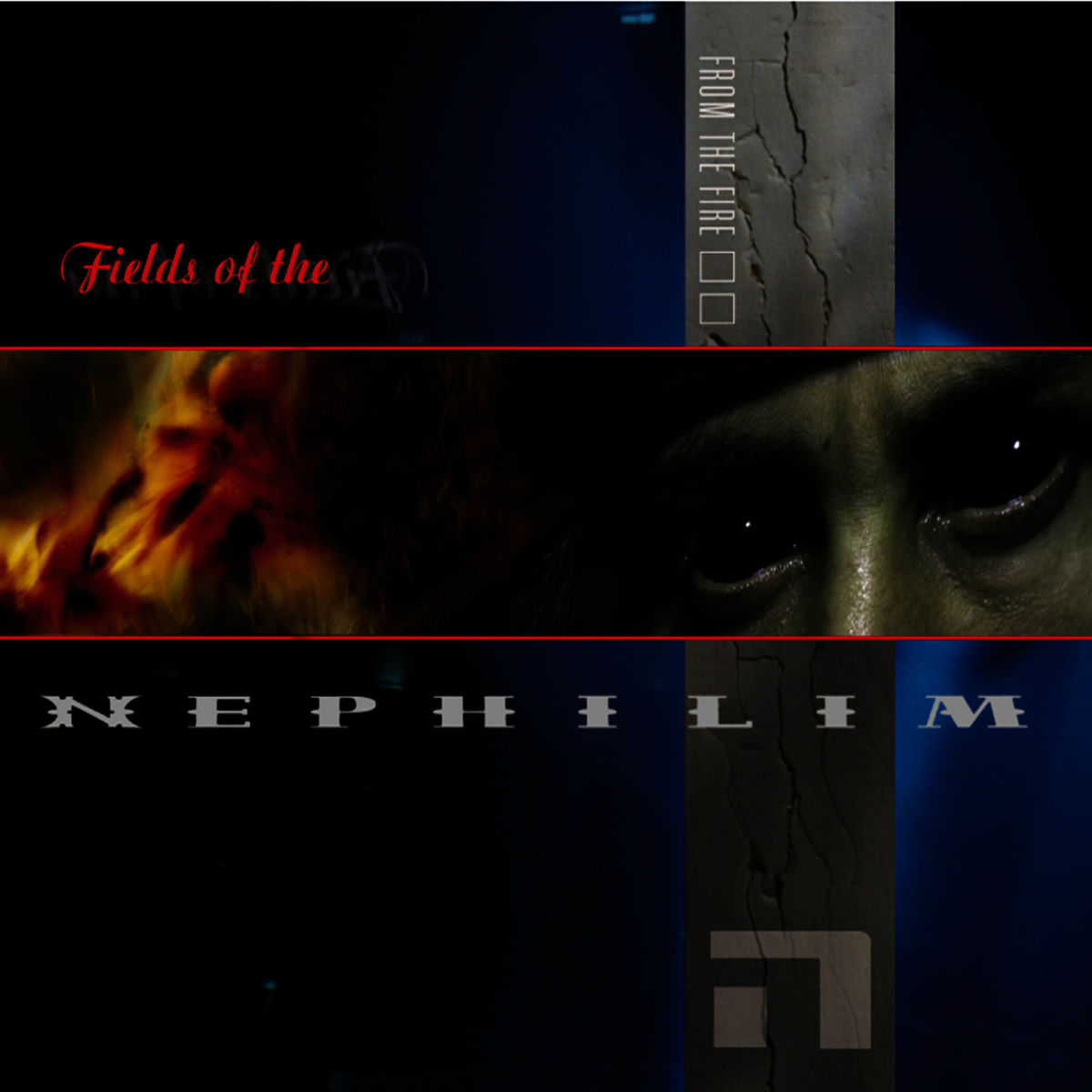 Album cover of From The Fire