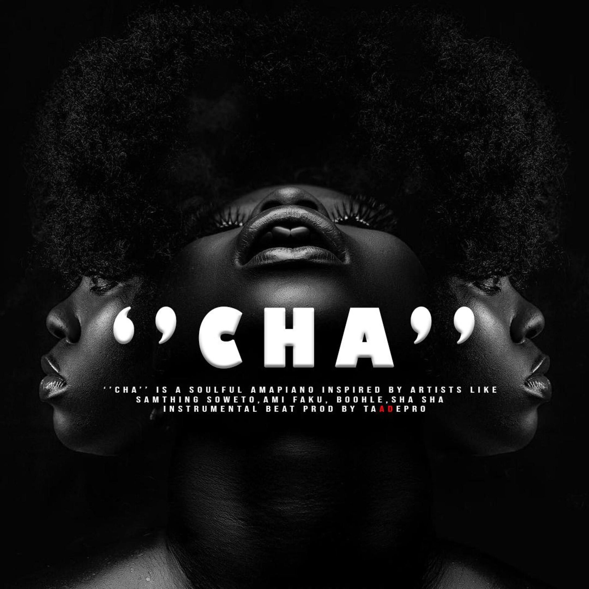 Album cover of CHA (feat. Kelvin Momo, Samthing Soweto & Sha Sha type beat)