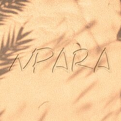 Cover of NPARA