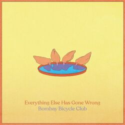 Cover of Everything Else Has Gone Wrong