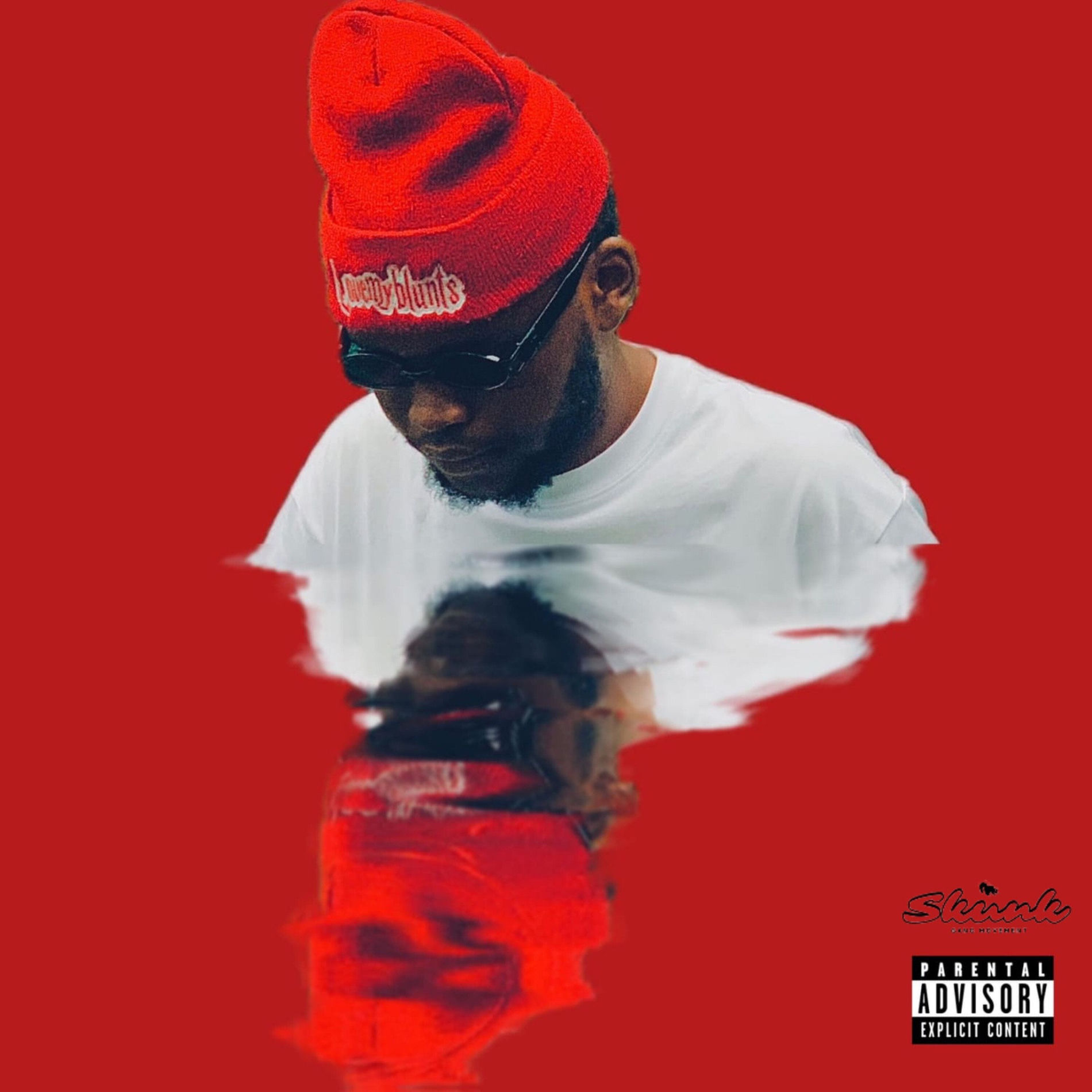 Album cover of Skunk Boy