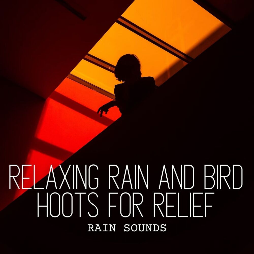 Picture of Rain Sounds: Relaxing Rain and Bird Hoots for Relief