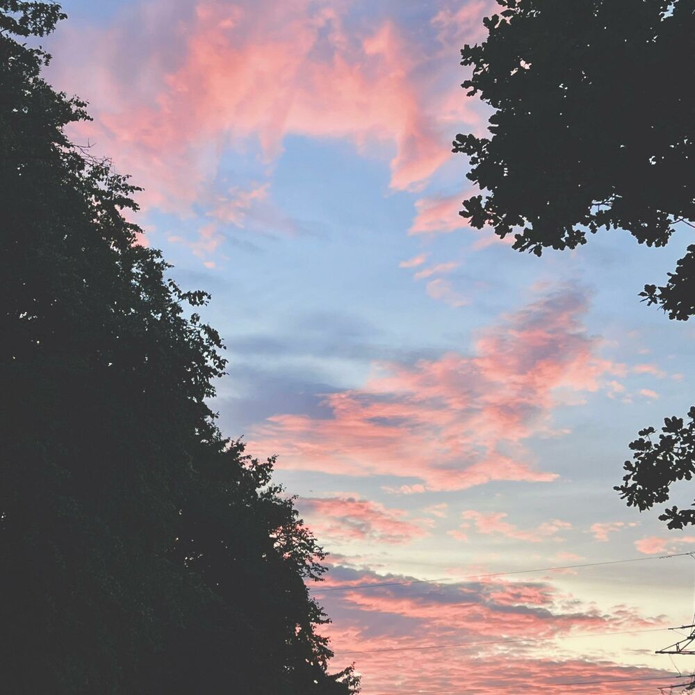 Picture of august