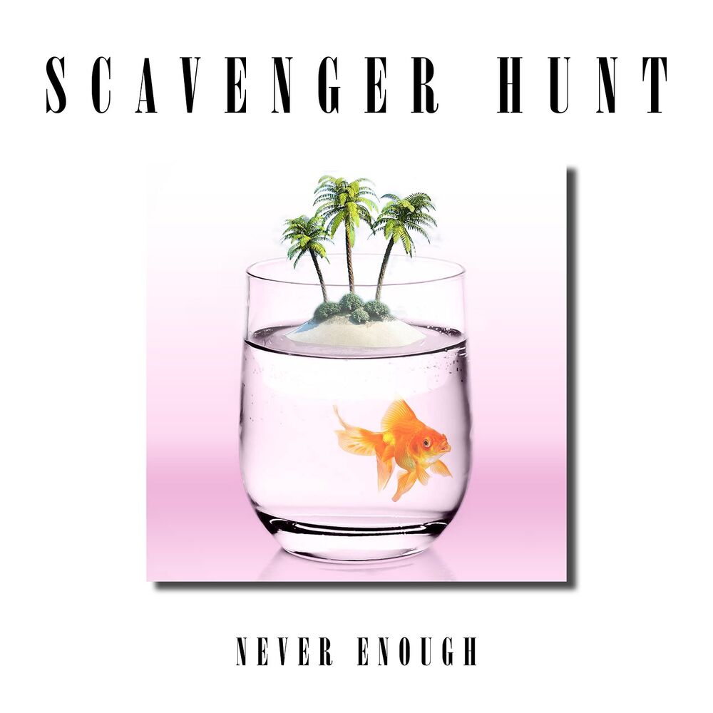 Picture of Never Enough
