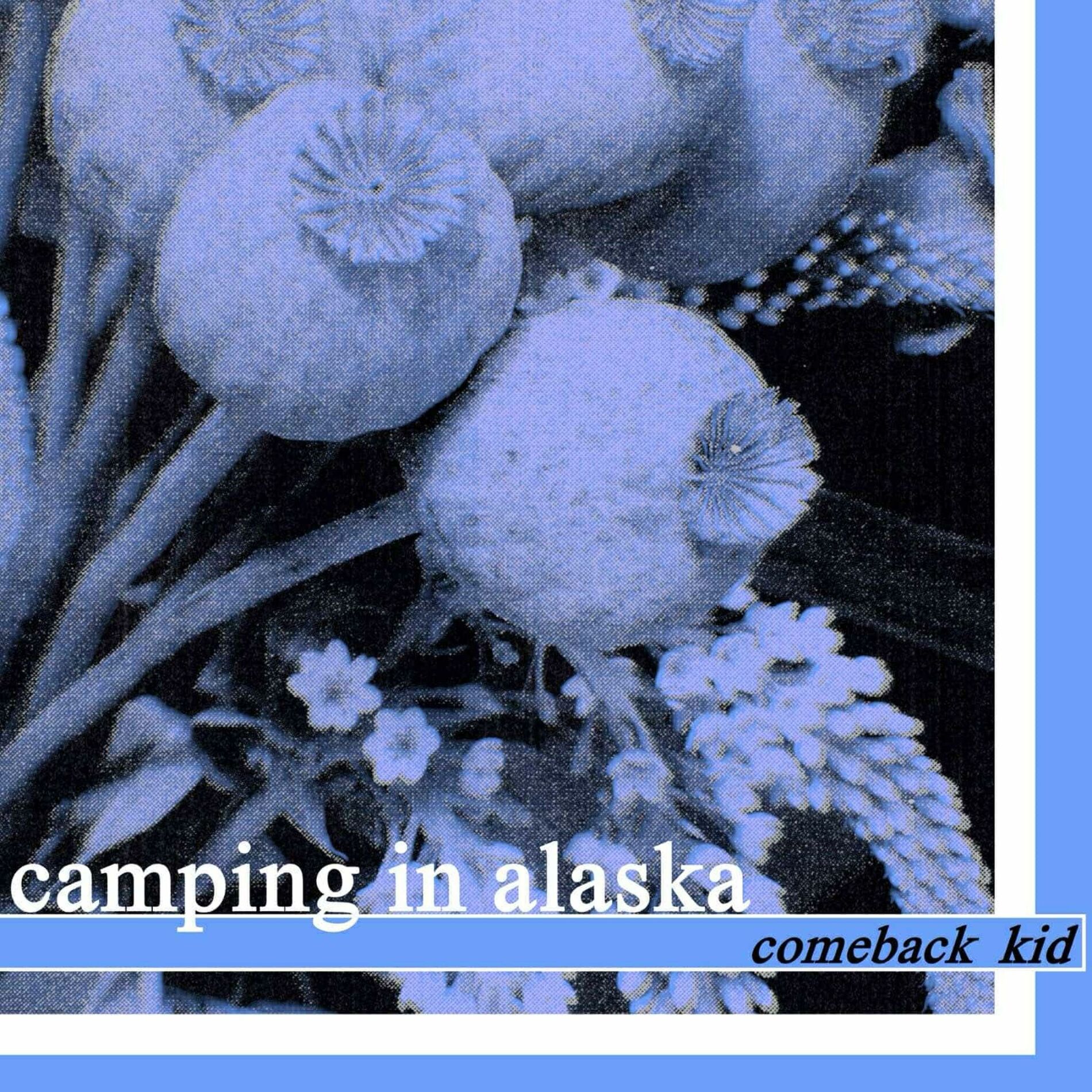 Album cover of Comeback Kid