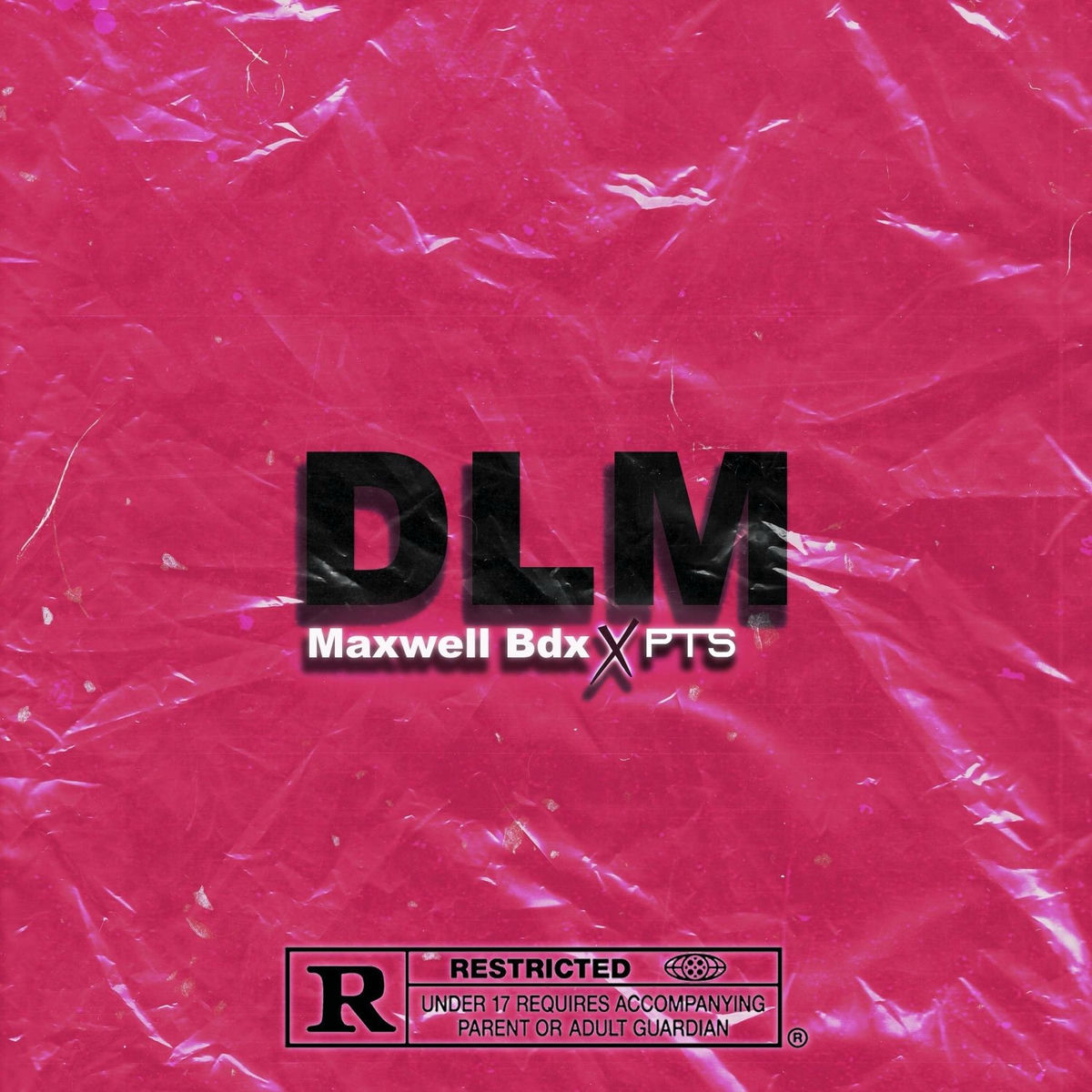 Album cover of DLM