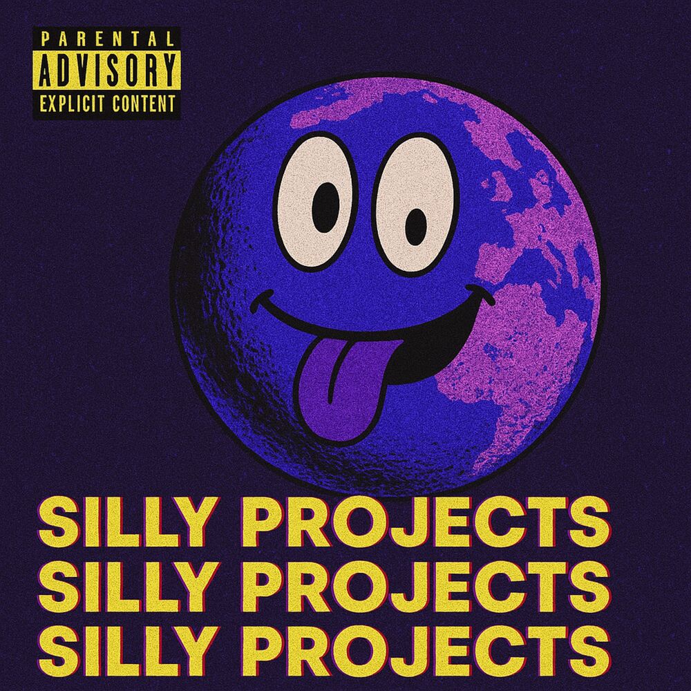 Picture of SILLY PROJECTS