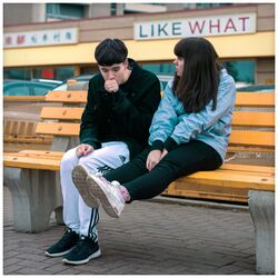 Cover of Like What