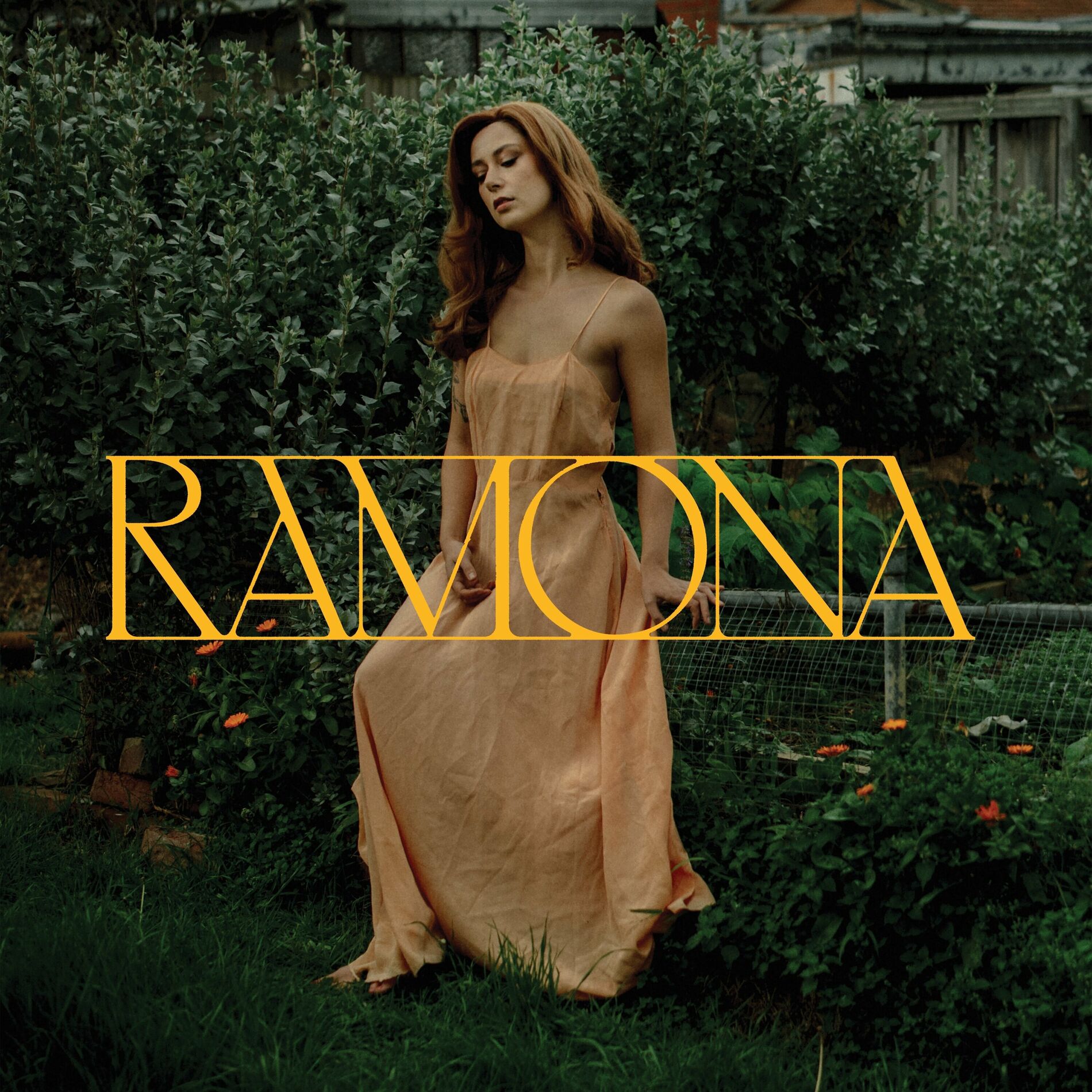Album cover of A Precious Thing