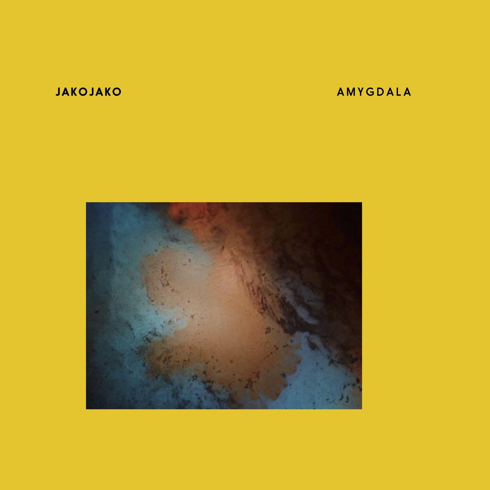 Album cover of Amygdala