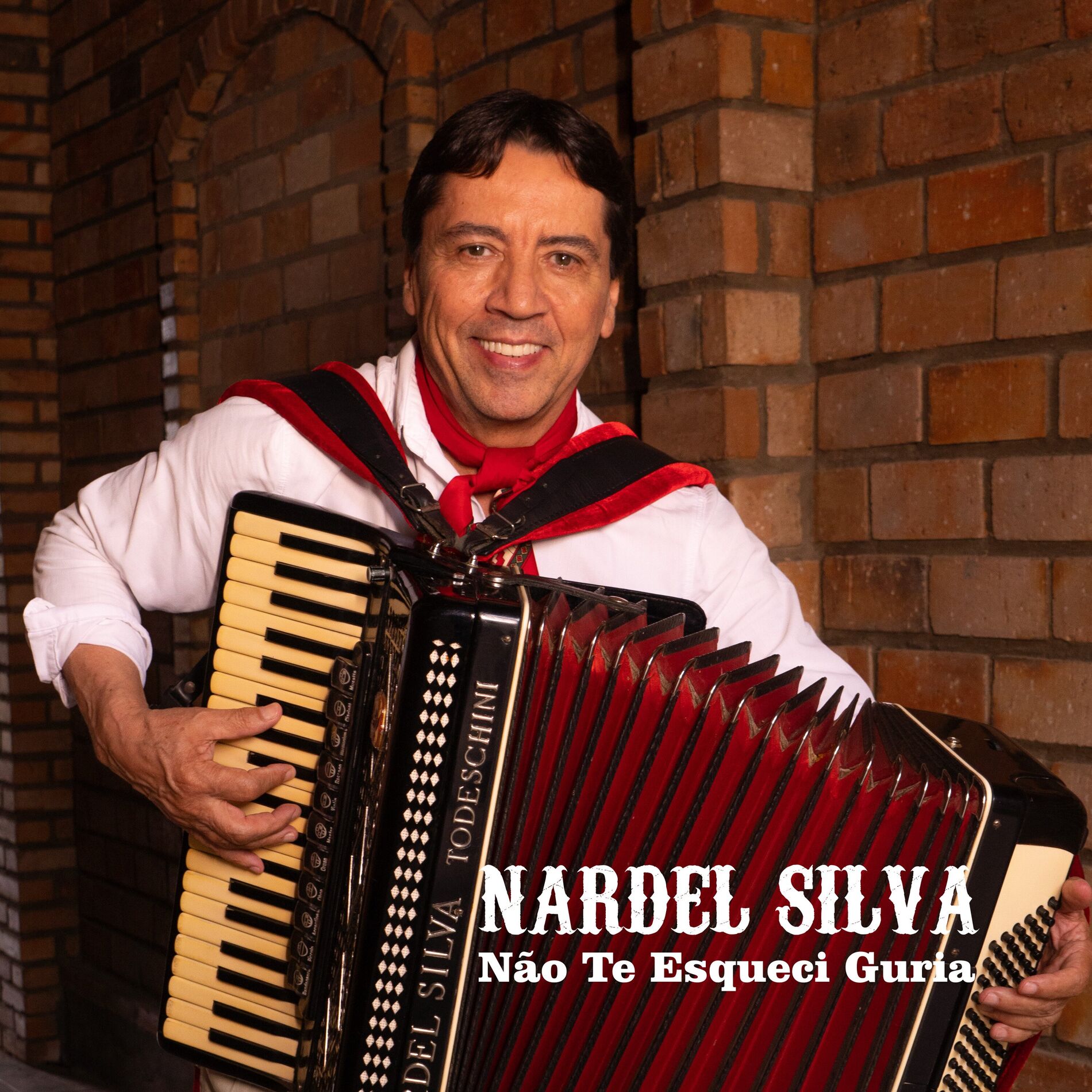 Album cover of Não Te Esqueci Guria