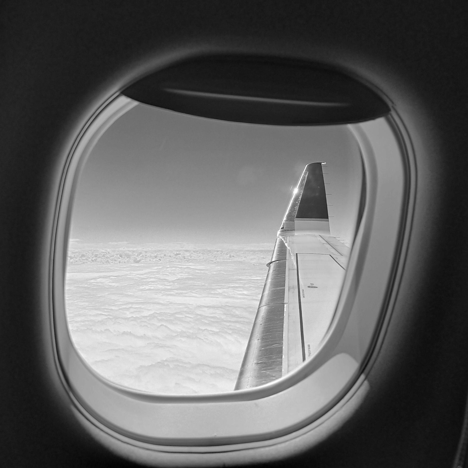 Album cover of High