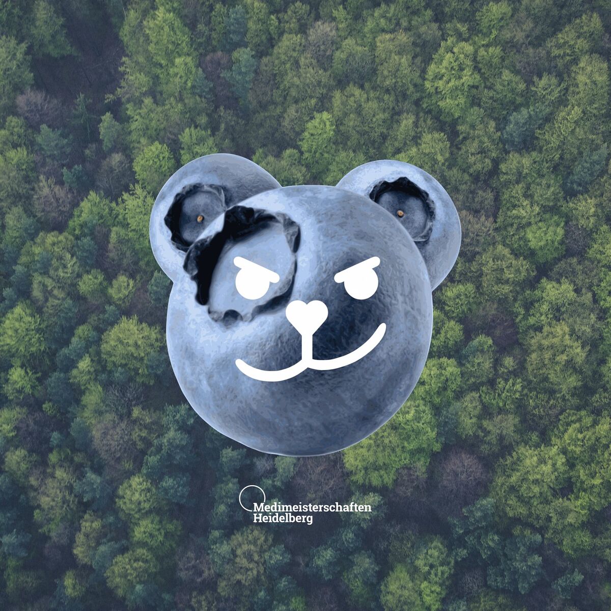Album cover of Heidelbärenbande