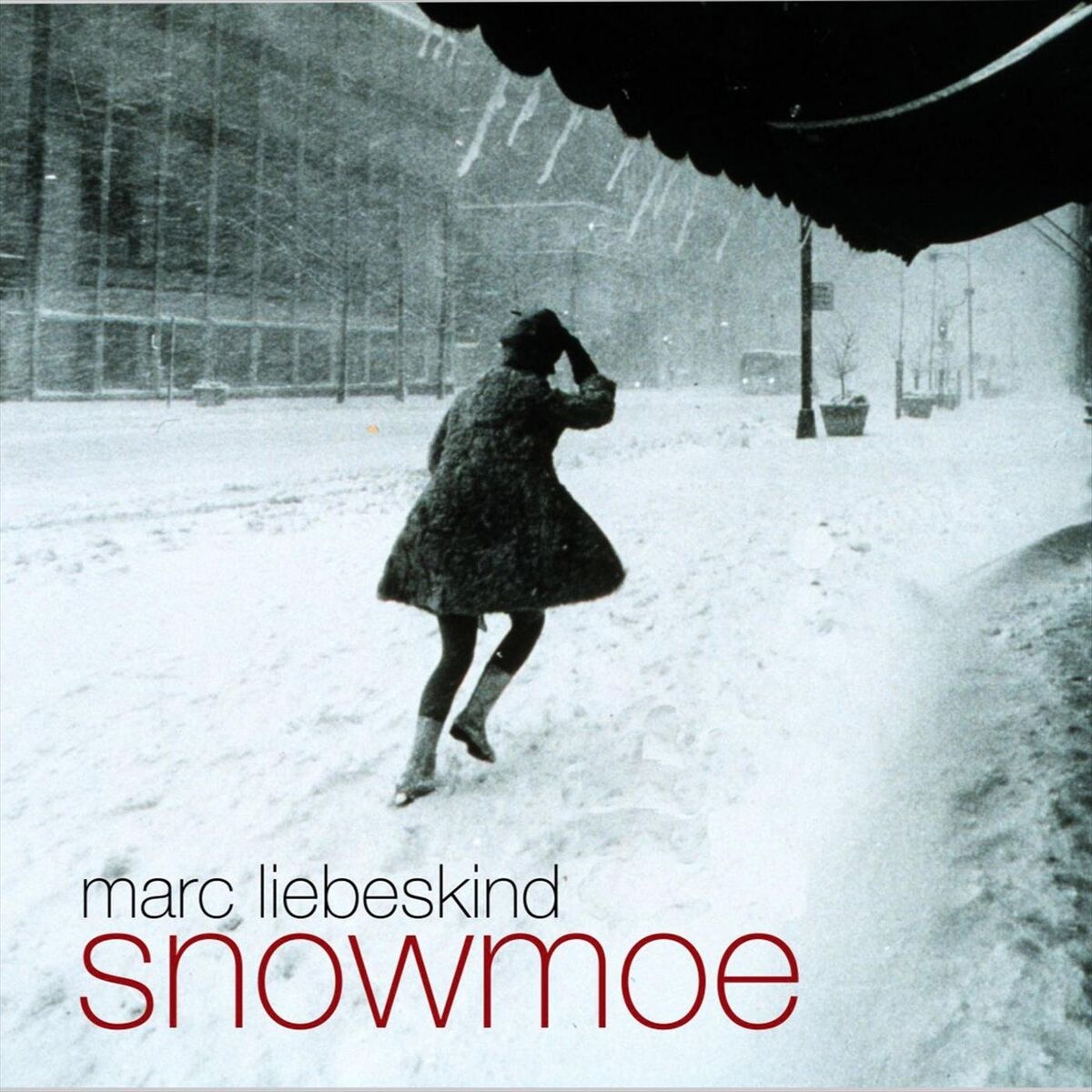 Album cover of Snowmoe