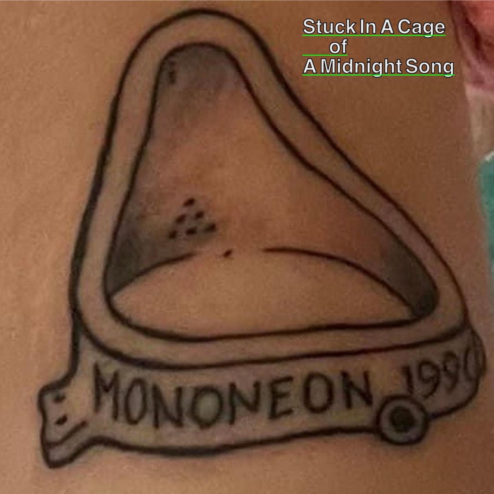 Album cover of Stuck In A Cage of A Midnight Song