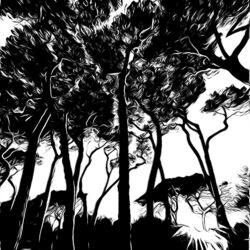 Cover of Gardens of Eden
