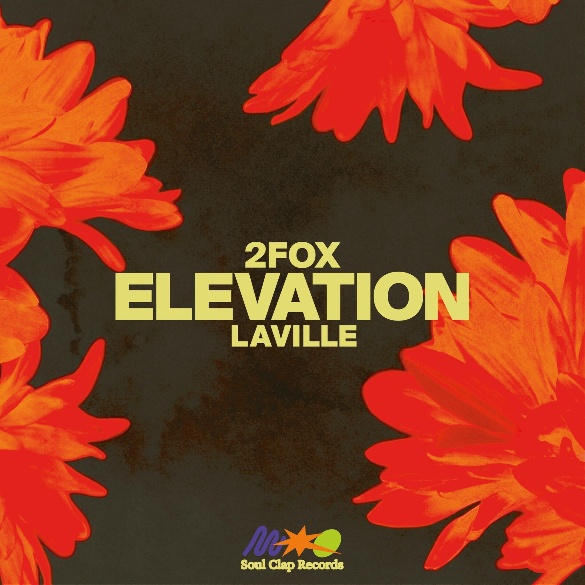 Album cover of Elevation