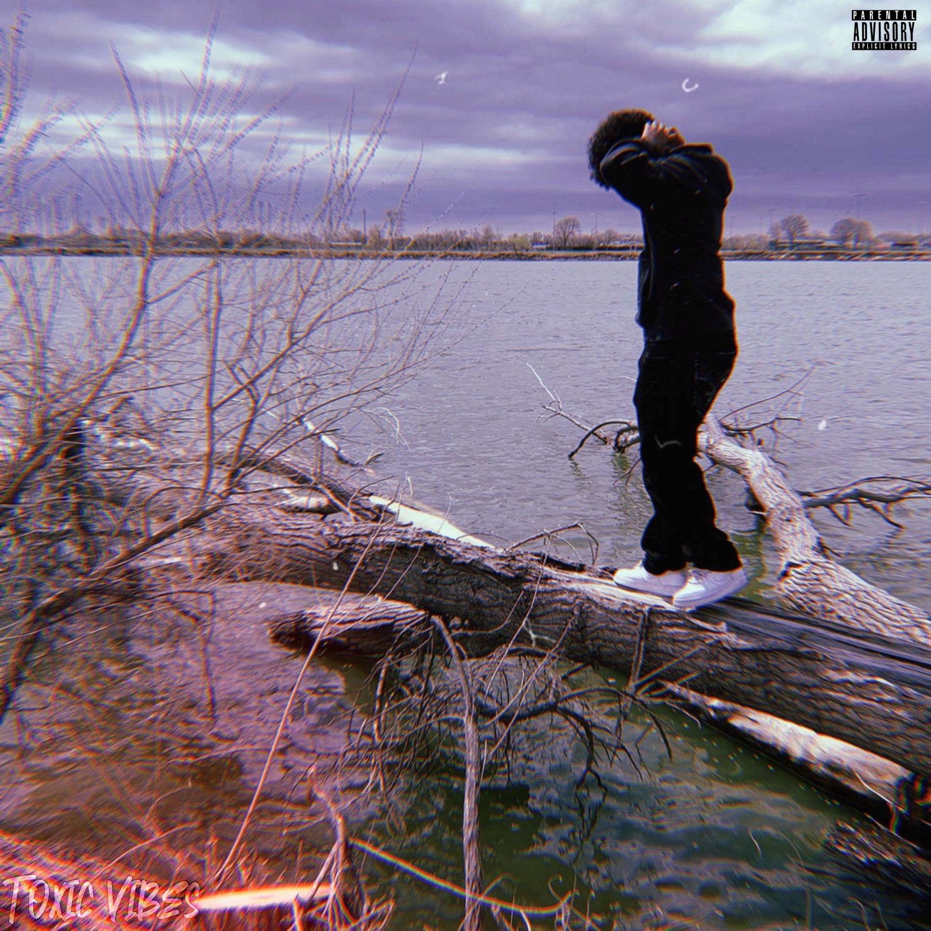 Album cover of Toxic Vibes