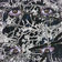 Could Last Forever (feat. Indre Gasiune) by Meyer album cover