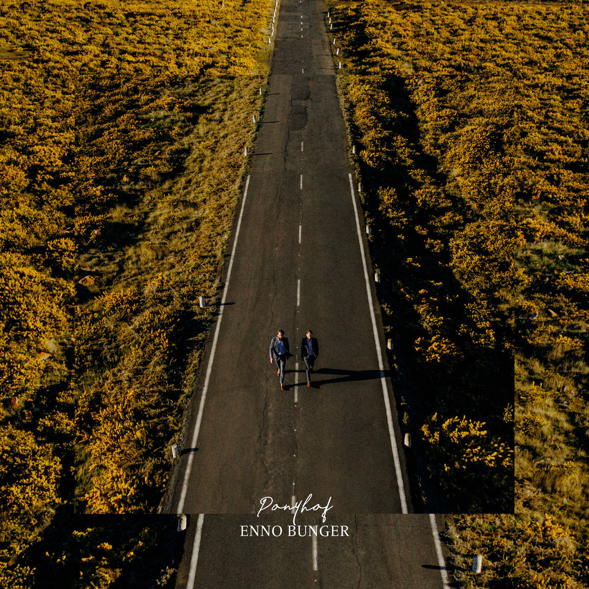Album cover of Ponyhof
