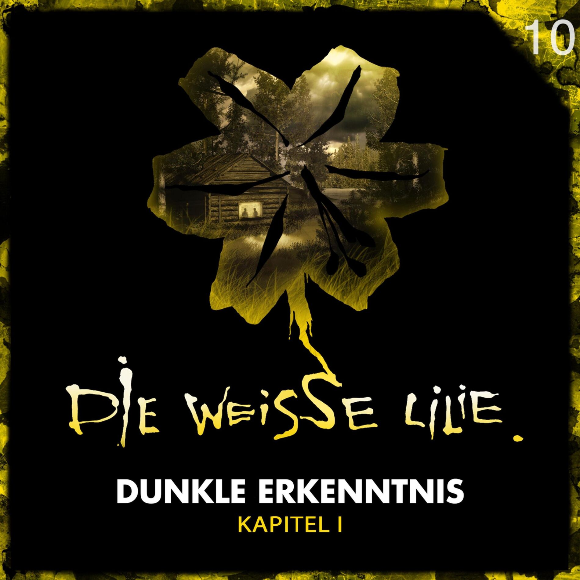 Album cover of 10: Dunkle Erkenntnis - Kapitel l