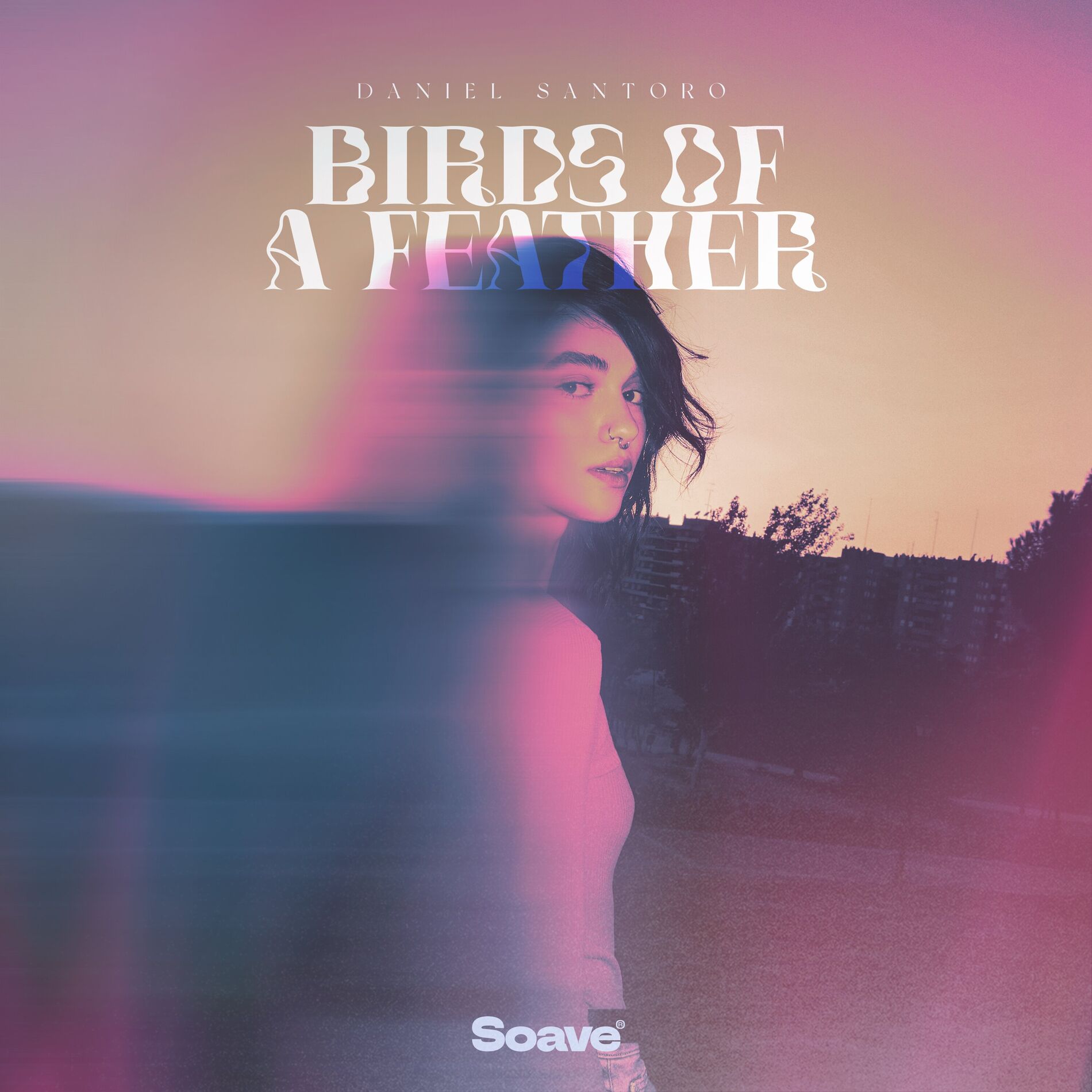 Album cover of BIRDS OF A FEATHER