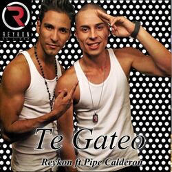 Cover of Te Gateo