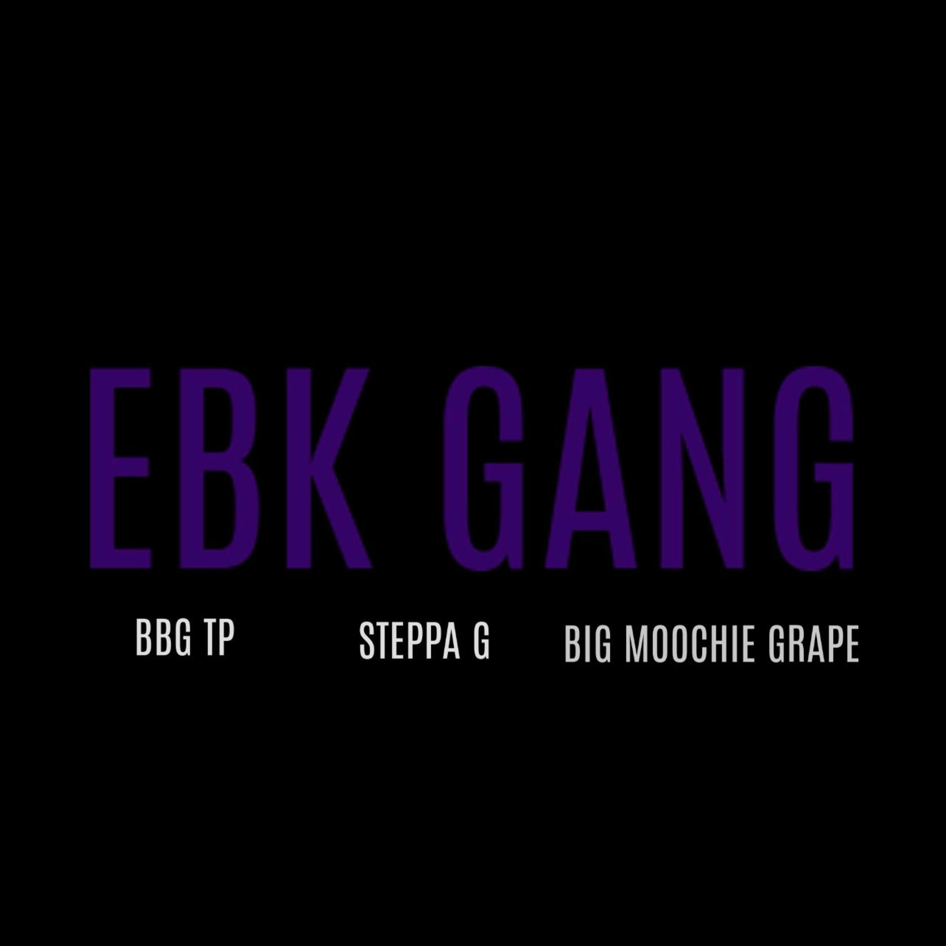 Album cover of EBK GANG (feat. SteppaG & Big Moochie Grape)