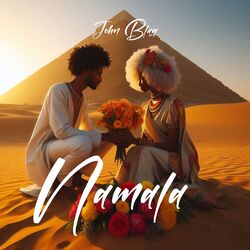 Cover of Namala