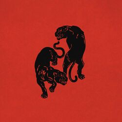 music cover