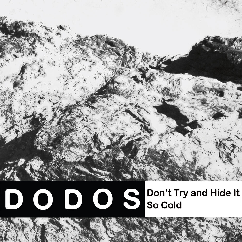 Picture of Don't Try and Hide It