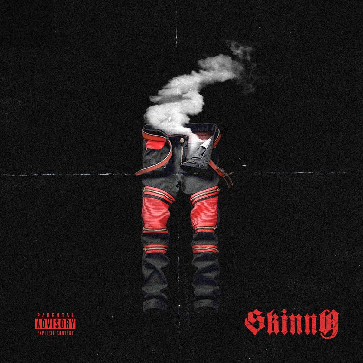 Album cover of Skinny