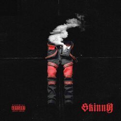 Cover of Skinny