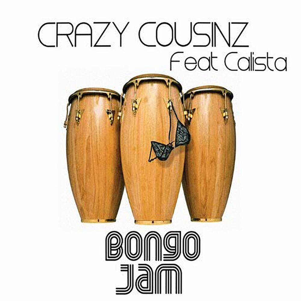 Picture of Bongo Jam