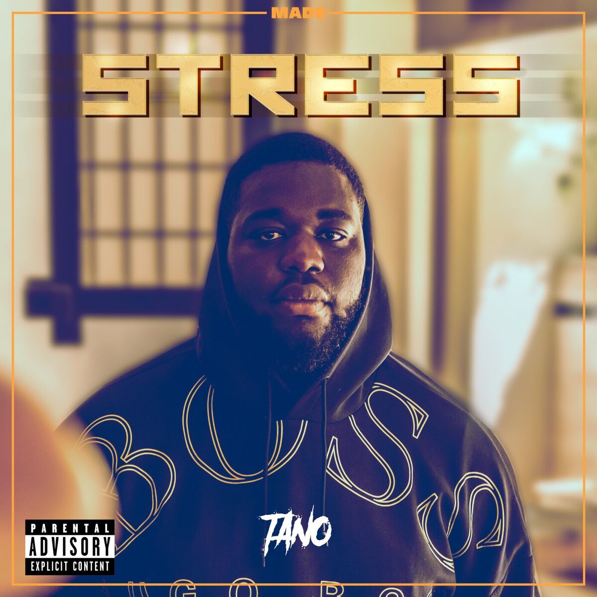 Album cover of Stress