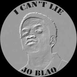 Cover of I CAN'T LIE