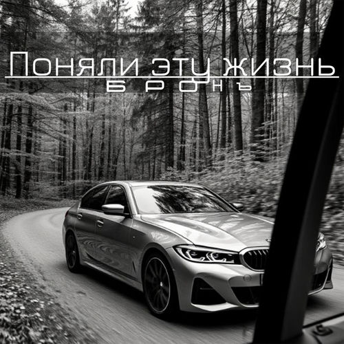Поняли эту жизнь