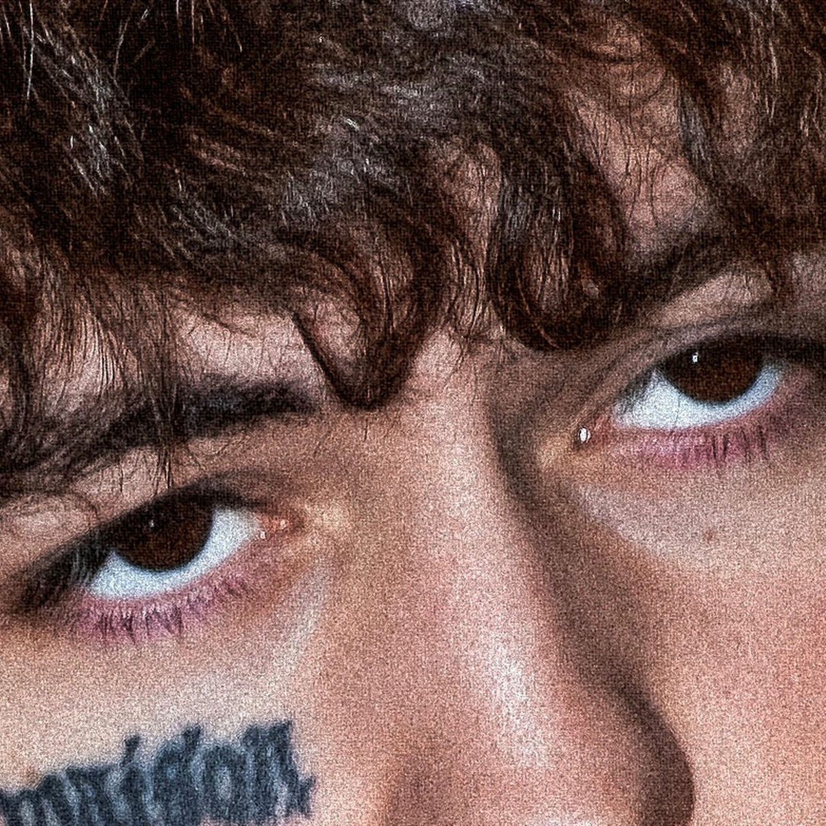 Album cover of Pro pirate