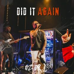 Cover of Did It Again