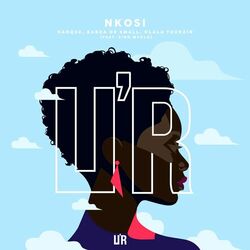 Cover of Nkosi
