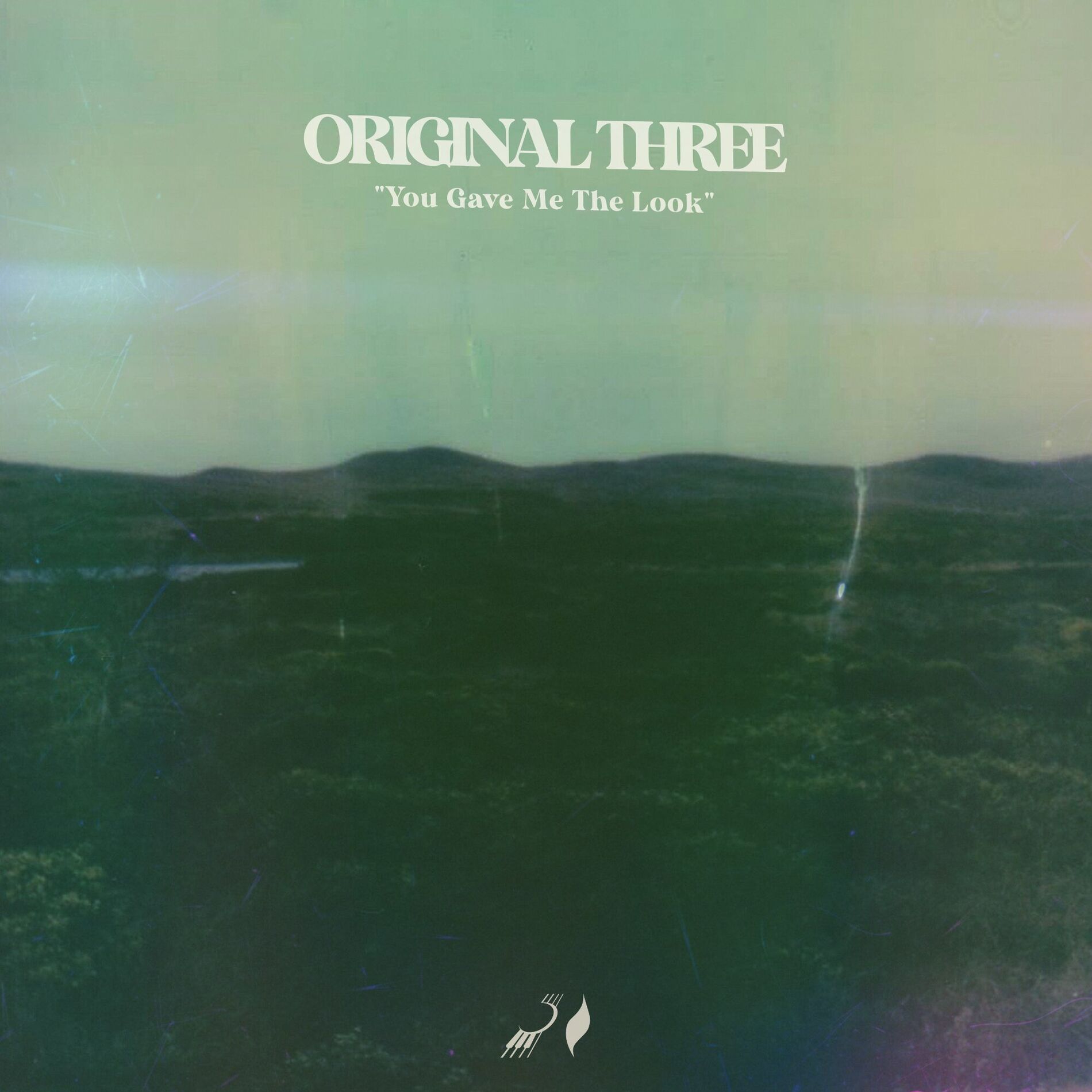 Album cover of You Gave Me The Look