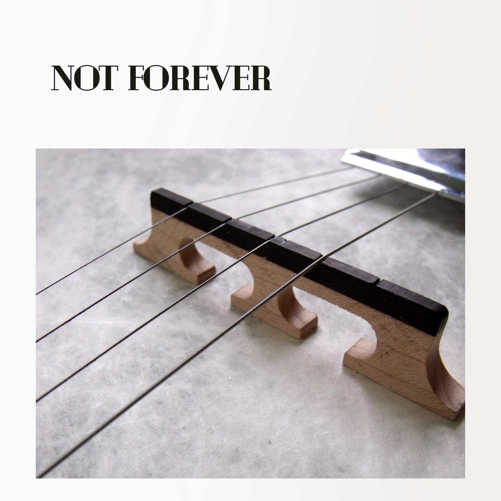 Album cover of Not Forever
