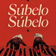 Súbelo Súbelo by DJ Panda album cover