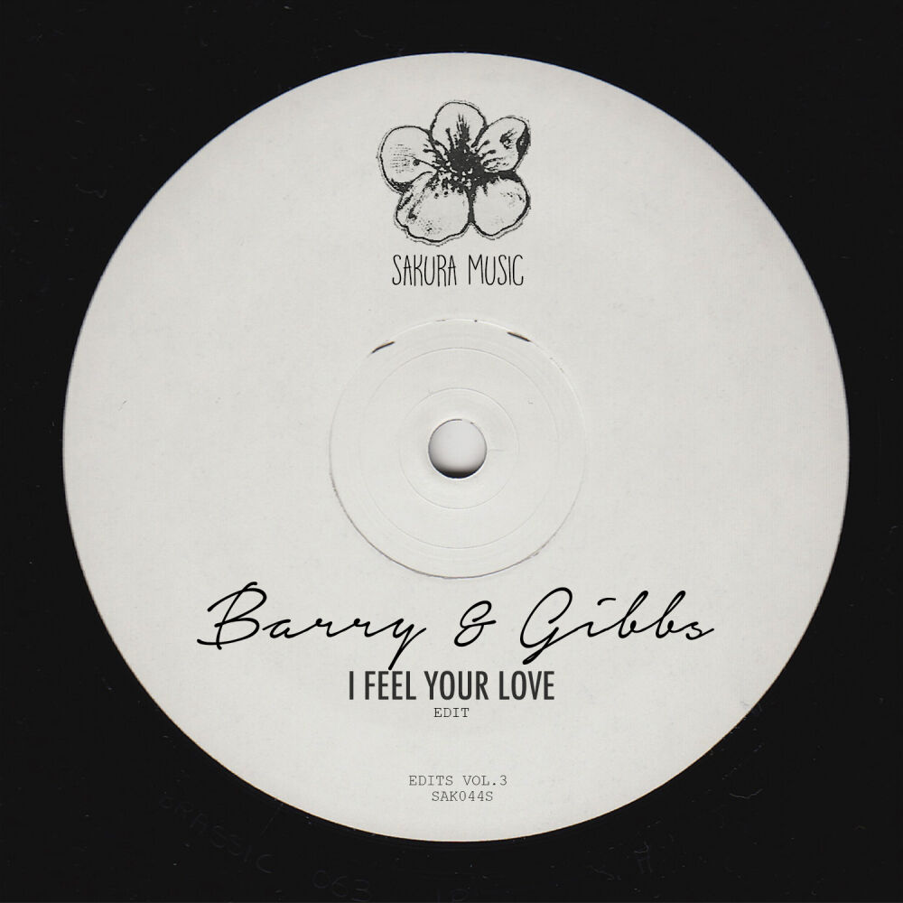 Picture of I Feel Your Love (Edit)