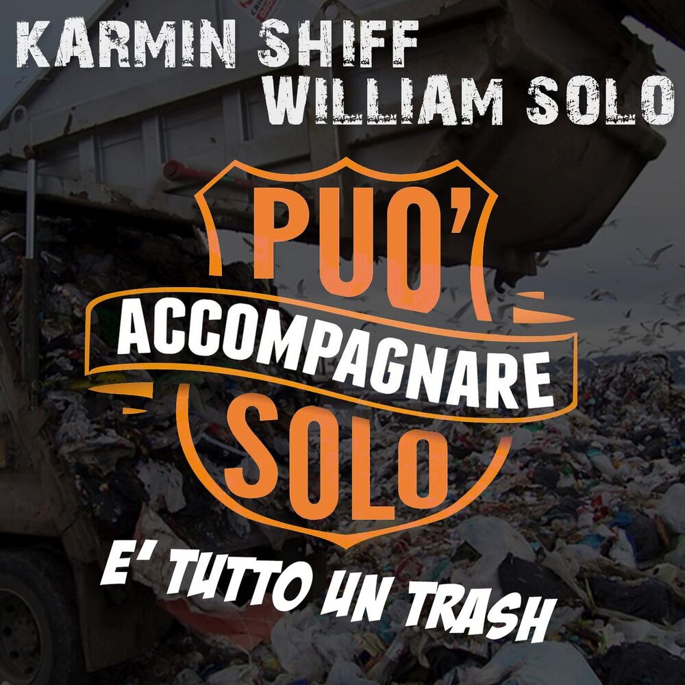 Picture of E' tutto un trash